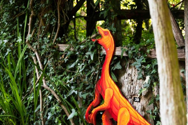 Just five more days to seek out the dinosaurs on our Jurassic Furzey summer trail. The dinos have had such a roar-some time, they agreed to stay until September 7.

Trail sheet costs just £1, plus garden entrance donation.

Book your visit www.furzey-gardens.org