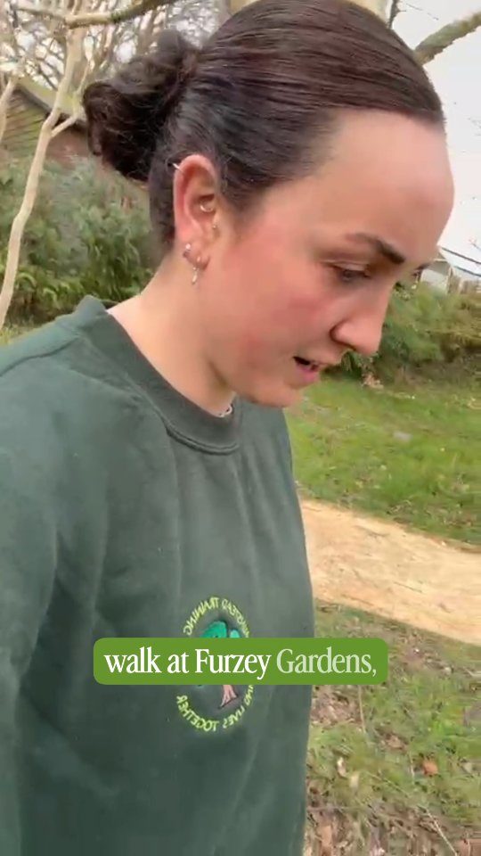 Happy Monday folks. Here's one of our Head Gardeners, Abbie, on her morning walk around the gardens with an update on our Cherry Tree Grove.

Walks around the garden are great for us all grounded, noticing the detail and getting away from the day to day stresses and worries of things that need to be done. That's no different for our gardening team while still enjoy a walk around the gardens taking note of the sights, the smells and the sounds of spring.

We hope you enjoy this gentle reminder to get out in the fresh air and enjoy your own garden spaces. We'd love to see you at the gardens too!

#SpringGarden #CherryTree #TheNewForest