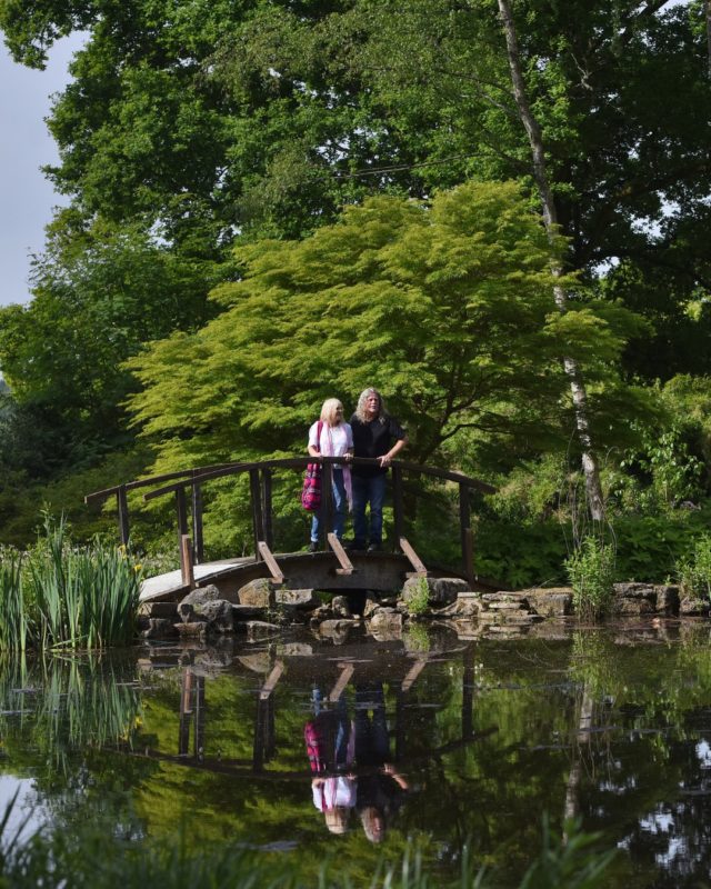 A little note for visitors joining us during the warmer weather ☀️

Please take a little extra care when visiting:

- Our tearoom is open and offers a range of refreshing drinks, but we do recommend bringing some water with you as you explore the gardens to help you stay hydrated.

- Wear sun cream, a hat and anything else you need to stay protected.

- Remember that parts of our car park are not shaded and can get very warm.

- Furzey is a beautiful place to explore in the sunshine, but there are some exposed areas and parts of the garden can get very warm.

- Make use of shady spots and our benches around the garden for a rest when needed.

- Pop into the tearoom for a cool drink, ice cream or a chance to cool down.

We'll see you in the gardens! 🌿