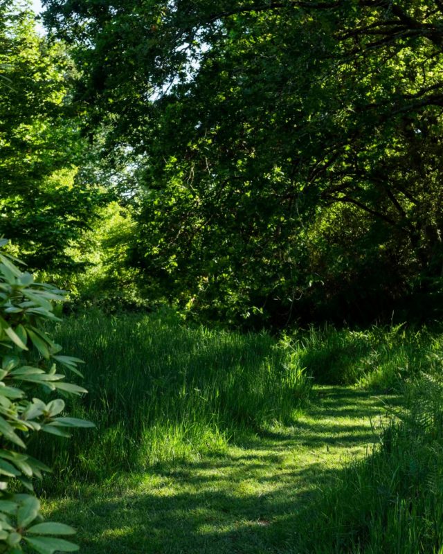 It really has been warm...! We've all been sheltering in quiet corners of the gardens, making the most of the lovely shady benches, and quiet winding pathways.

But the gardens aren't the same without you - the visitors.

We're looking forward to hearing gentle chatting and laughter, and seeing big smiles and families enjoying the trail while it's a bit quieter.

While everyone heads to the beach, why not find a blissful corner of shady goodness right here in the gardens.

We can't wait to welcome you.