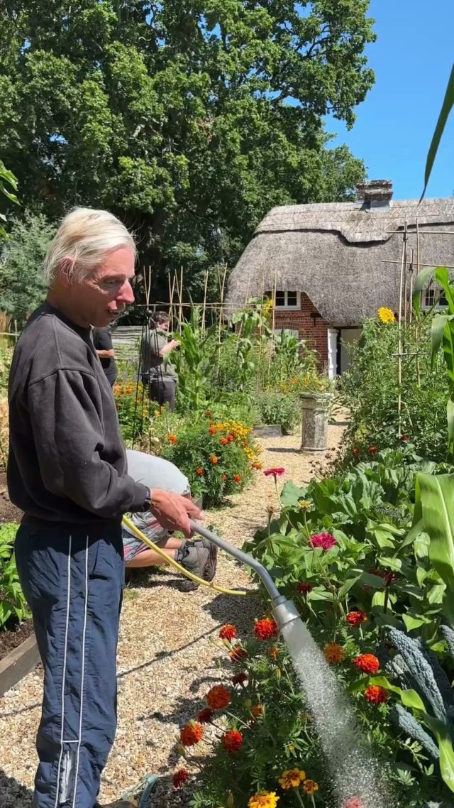 The cottage garden is bursting with produce, all thanks to people we support like David, and the team who are working heard, even in the heat.

Here's David with a few words on keeping the garden growing.

He'd like to know - what are you growing this summer? 🌻

(A small note - the changing climate is always on our minds, and so we have changed our approach to watering to be as economical and careful as we can).