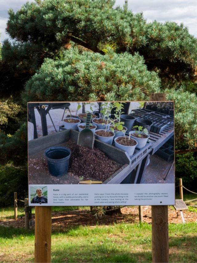 This is Furzey through Katie's eyes!

Katie is one of our supported gardeners, often working in the Furzey plant nursery. Katie says: ‘I took this photo because potting on is my favourite thing to do in the nursery. I love looking at the plant sales and seeing what's selling!’

We love that Katie chose to photograph in the nursery, showing the way she connects to her work there and the pride she feels when looking through the plant sales area.

Wander through our new photography exhibition: Nature through my eyes until 2 November, to read many more stories from the people we support at Furzey Gardens!

Read more through link our bio.
